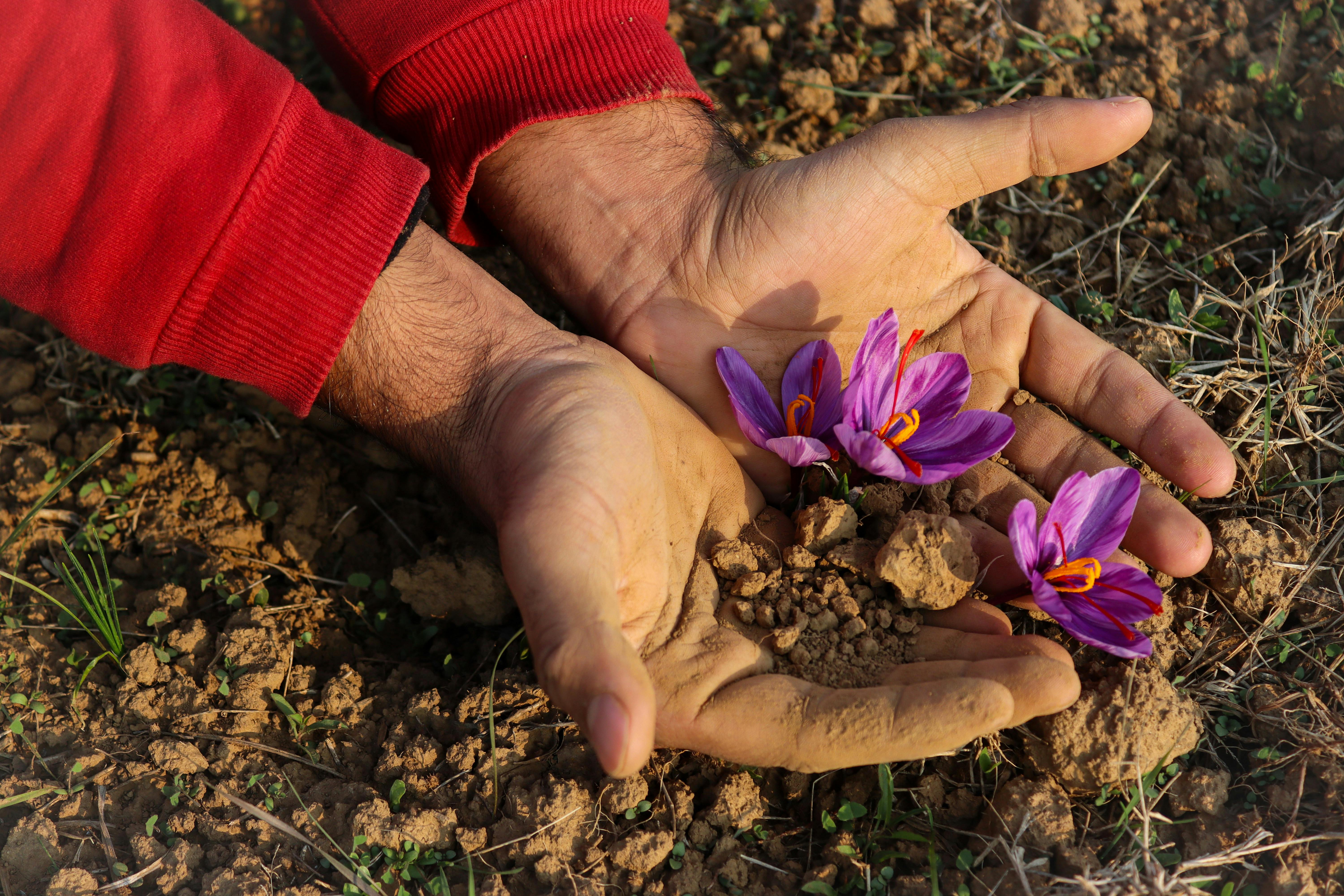 Health Connect Series: Get Those Hands Dirty!